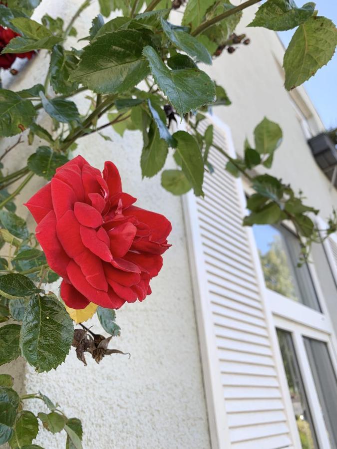 Insel Hus Holiday home Fehmarn